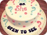 he_or_she