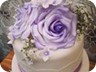 lilac roses